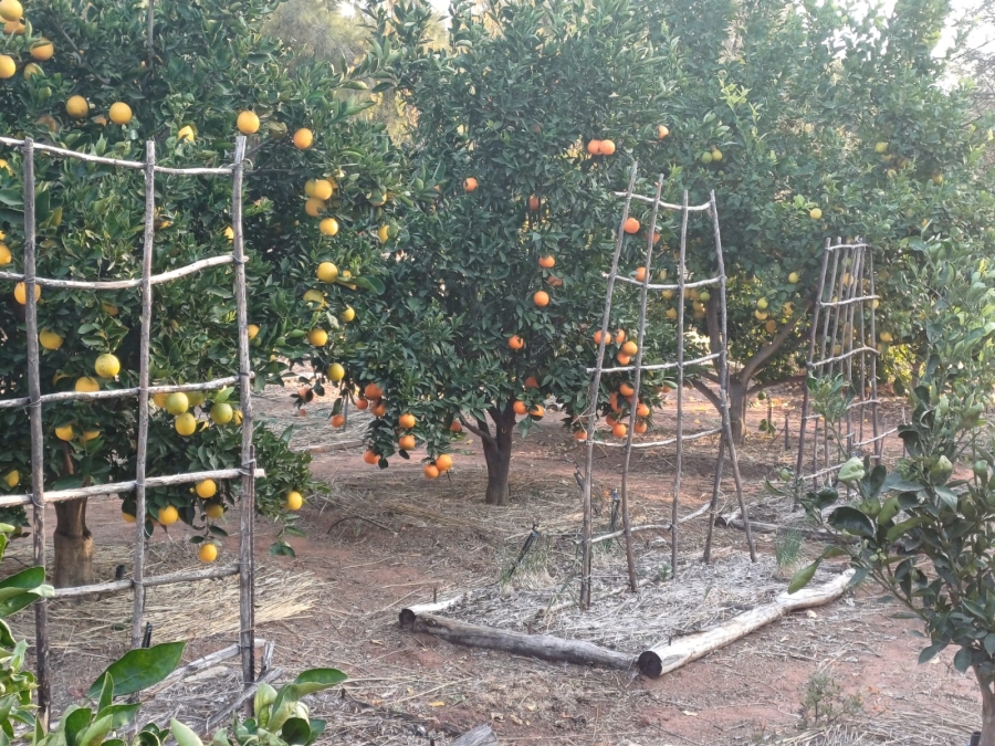 3 Bedroom Property for Sale in Modderfontein A H North West